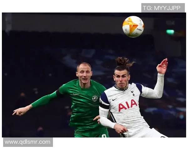 卢多戈雷茨与维迪奥顿比赛前瞻及胜负预测分析